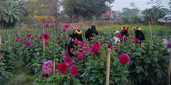 ফুলের রাজ্য সাবদি, ব্রহ্মপুত্র নদের তীরে দর্শনার্থীর ভিড়